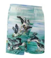 Kristy-Ann Duffy Kelp Gull Board Shorts Unisex – SCODY