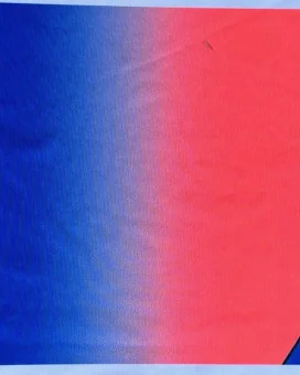 Fluoro Vista Women's Accelerate Sleeved Triathlon Suit | Triathlon Gear