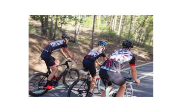 Magpie edges out white ibis and kookaburra as Australian bird of the year